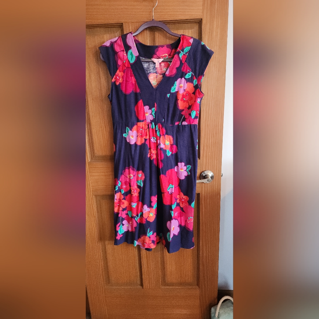 Lilly Pulitzer Floral V-Neck Dress